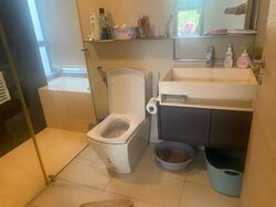 SilverSea (D15), Condominium #591300471